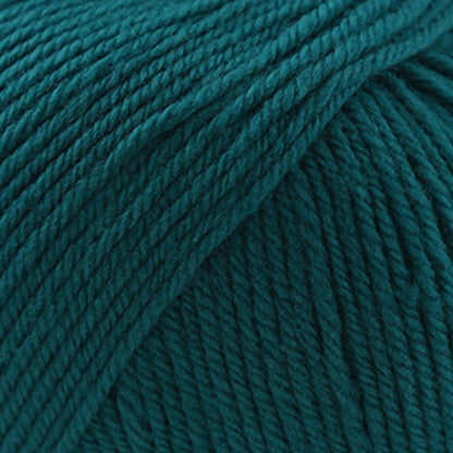 Cascade 220 Superwash Worsted Yarn color 890 Emerald City