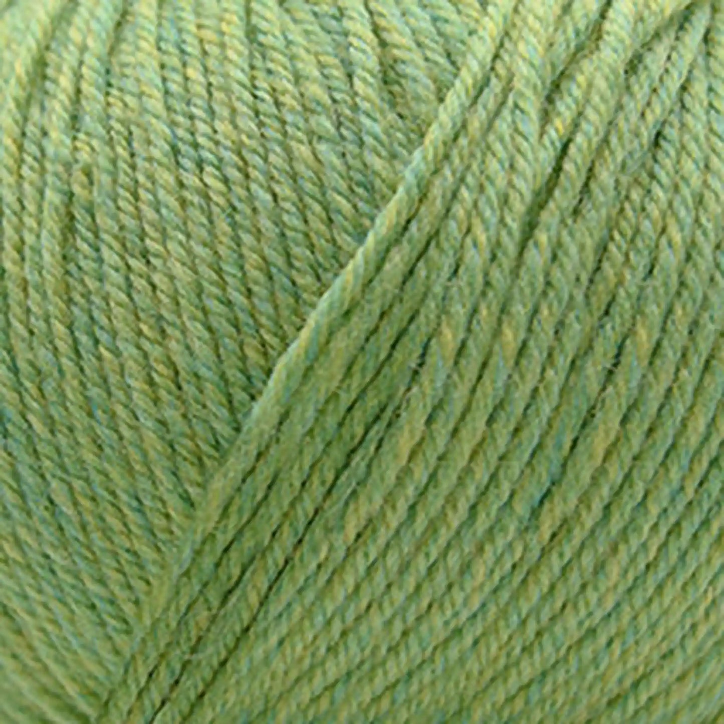 Cascade 220 Superwash Worsted Yarn color 905 Celery