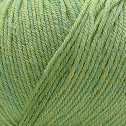 Cascade 220 Superwash Worsted Yarn color 905 Celery