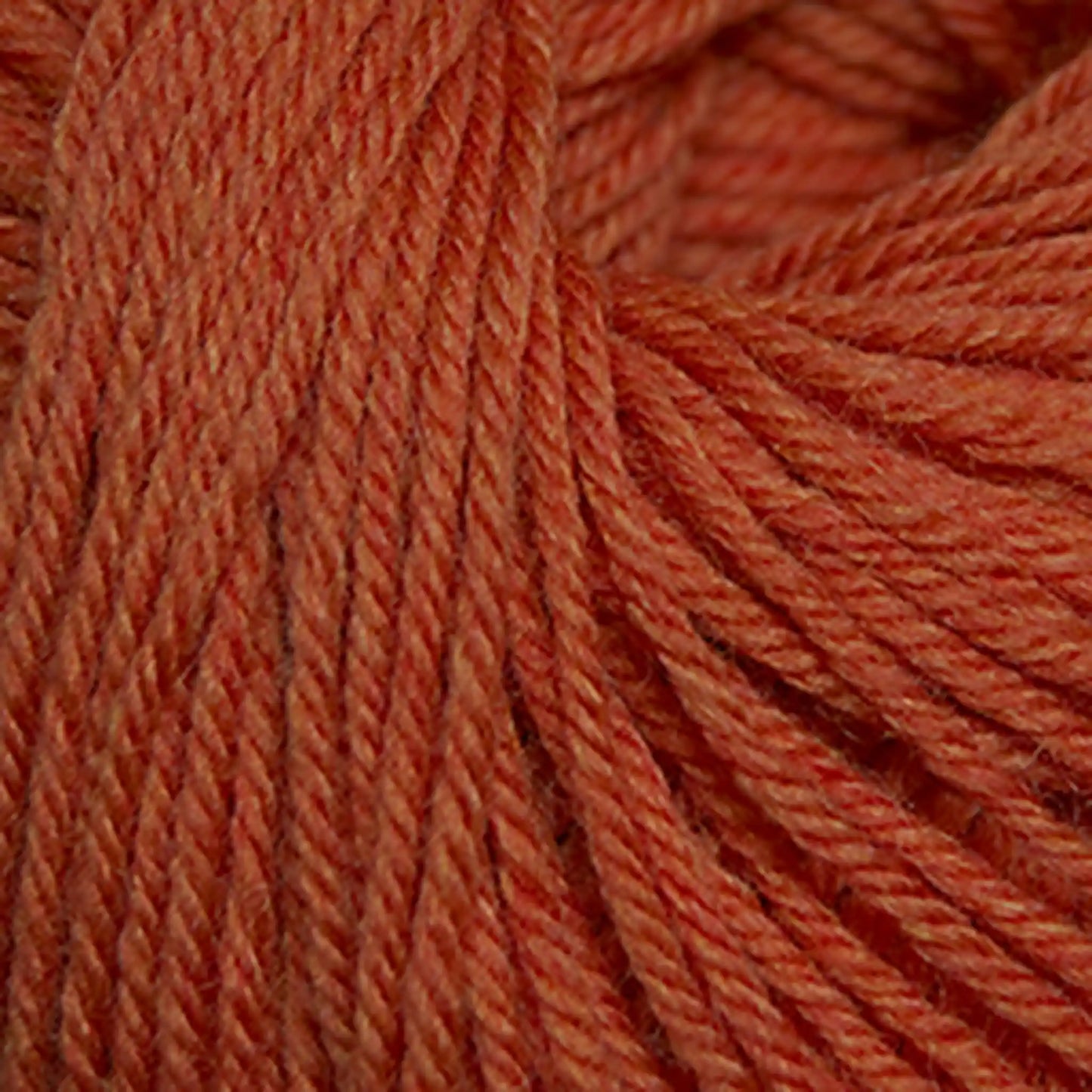 Cascade 220 Superwash Worsted Yarn color 907 Tangerine Heather
