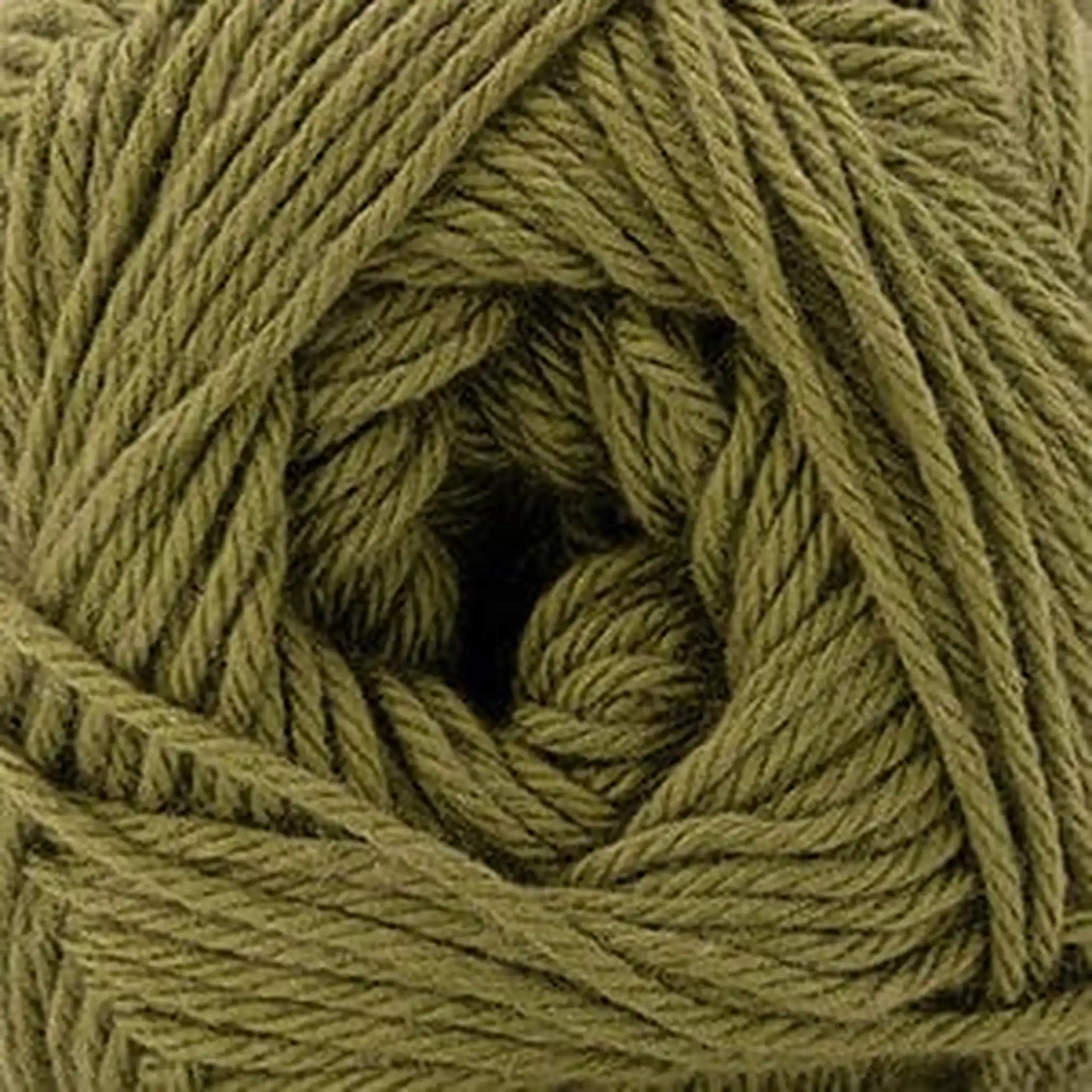 Cascade Pandamonium DK Yarn color 49 Fir Green