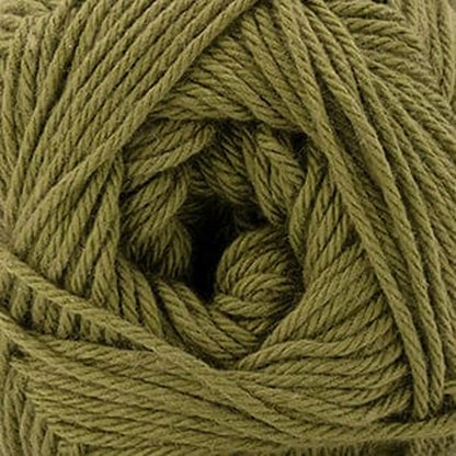 Cascade Pandamonium DK Yarn color 49 Fir Green