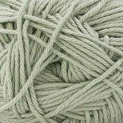 Cascade Pandamonium DK Yarn color 50 Desert Sage