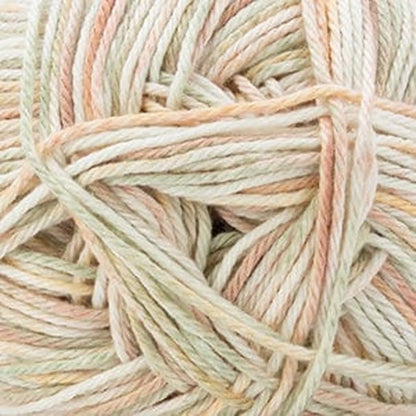 Cascade Pandamonium Multis DK Yarn color 412 Cacti