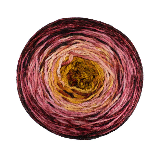 Malabrigo Metamorphosis Sock Light Fingering Yarn
