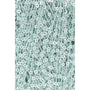 0072 Aqua/Silver