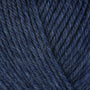 43138 Delphinium
