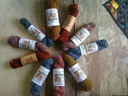 Natural Dyeing Class with Justin | Cochineal and Logwood Purple