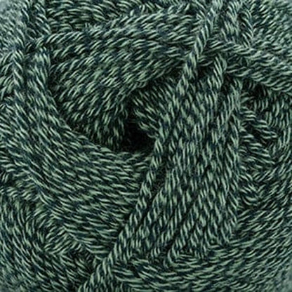Cascade Anchor Bay DK Yarn color 48 Jasper