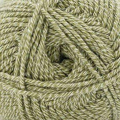 Cascade Anchor Bay DK Yarn color 54 Sage