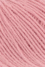 0128 Salmon