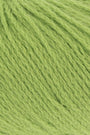 0216 Lime