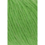 0016 Apple