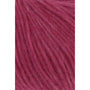 0161 Tulip