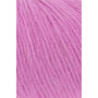 0366 Carnation