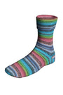 0479 Rainbow