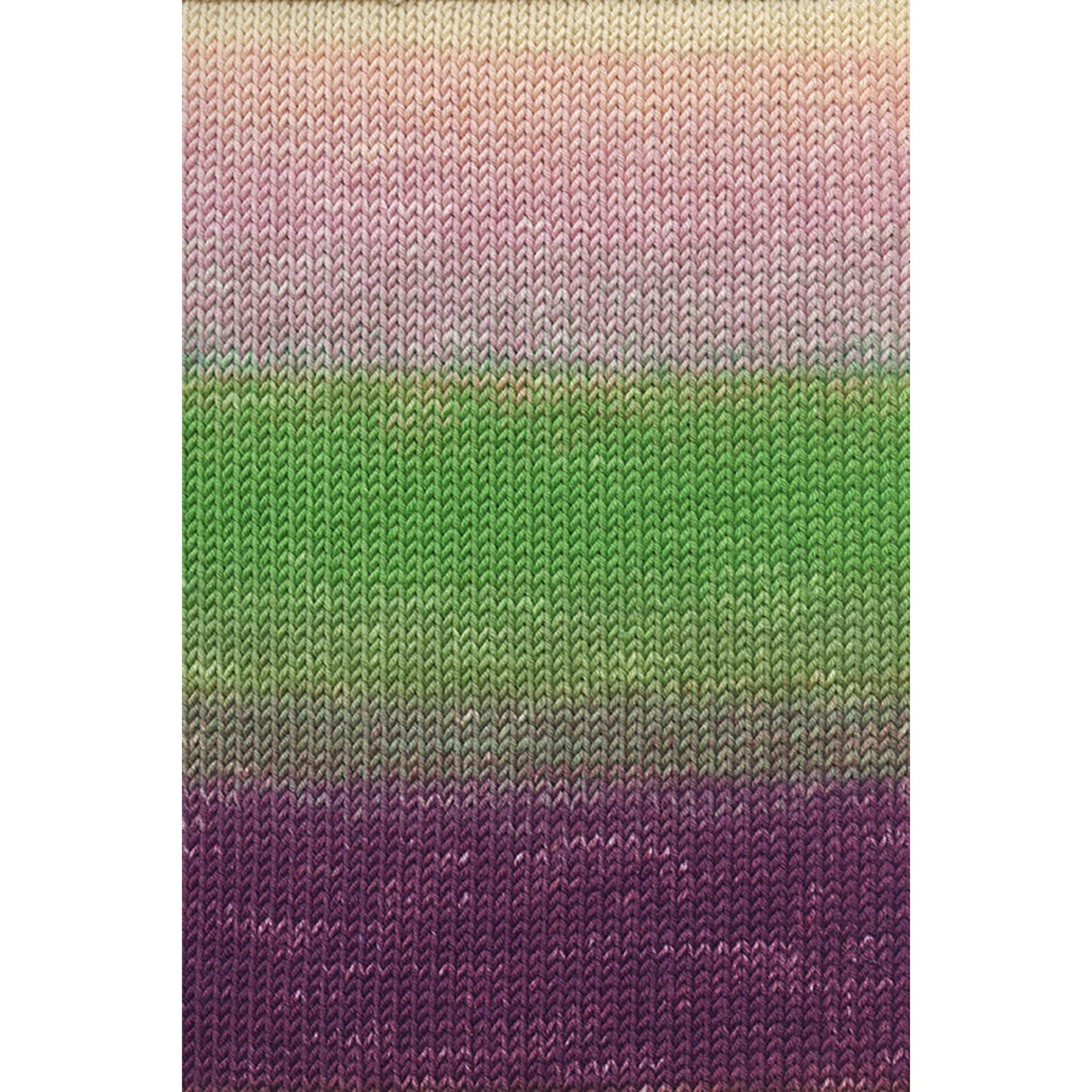 Lang Merino + Color Yarn
