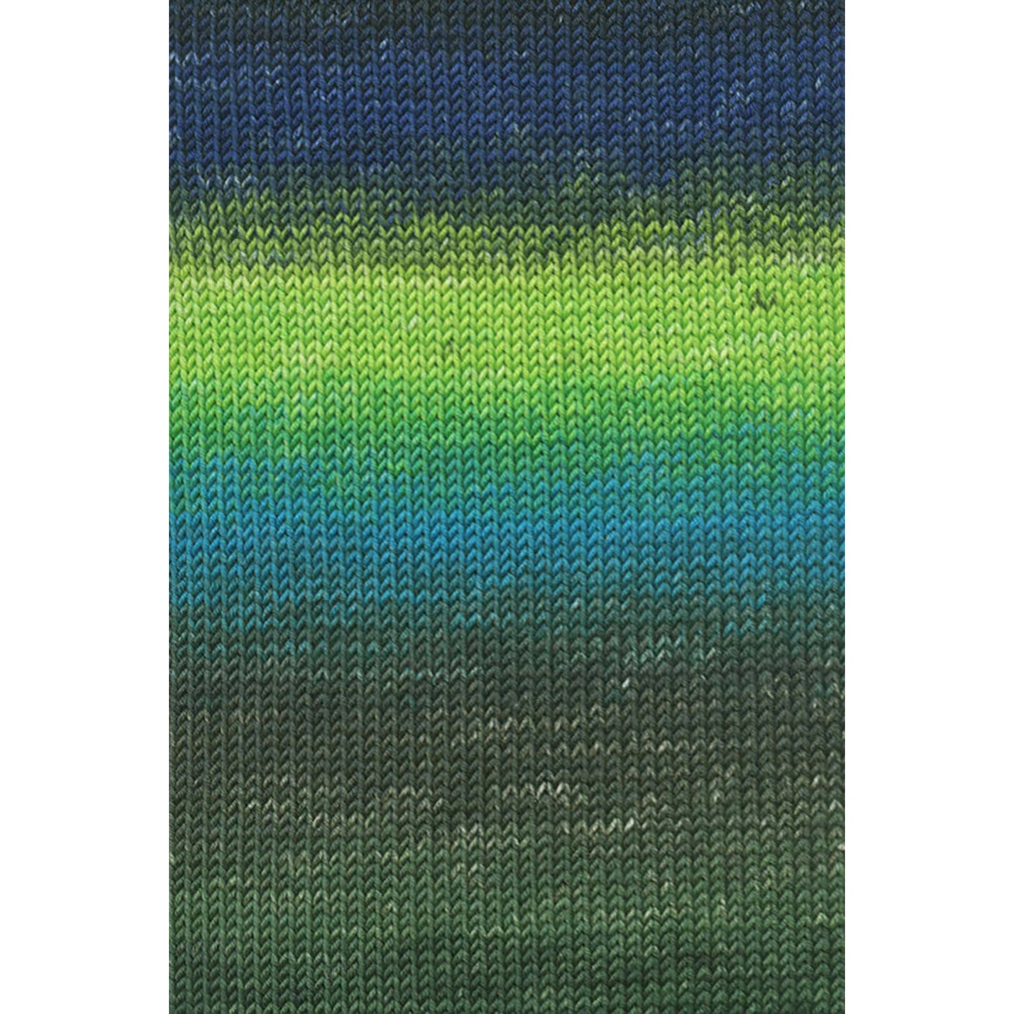 Lang Merino + Color Yarn