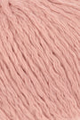 0027 Apricot