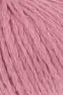 0119 Rose