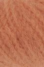 0159 Pumpkin
