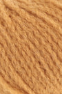 0259 Tangerine