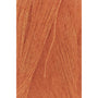 0159 Pumpkin