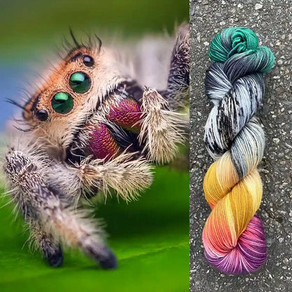 Jumping spider with yarn color gradient.