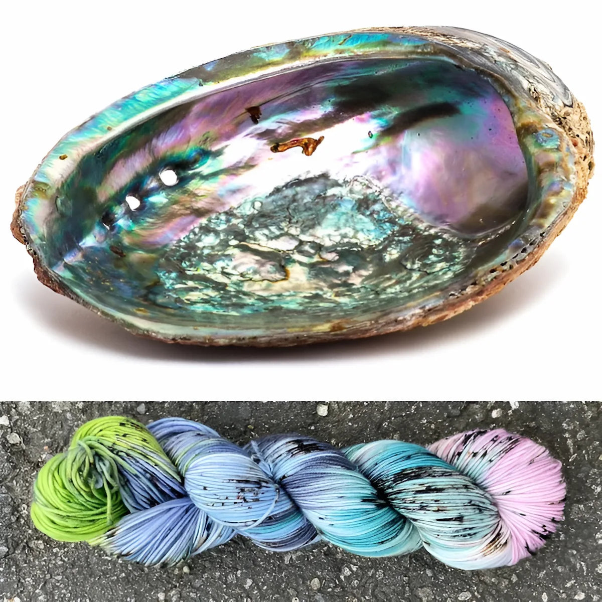 Abalone - Superwash Merino Spruce Fingering Yarn