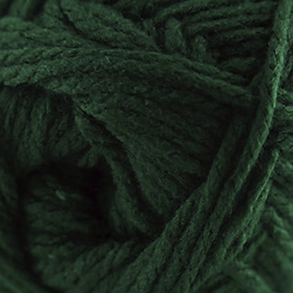 Cascade Anthem Worsted Yarn color 17 Forest