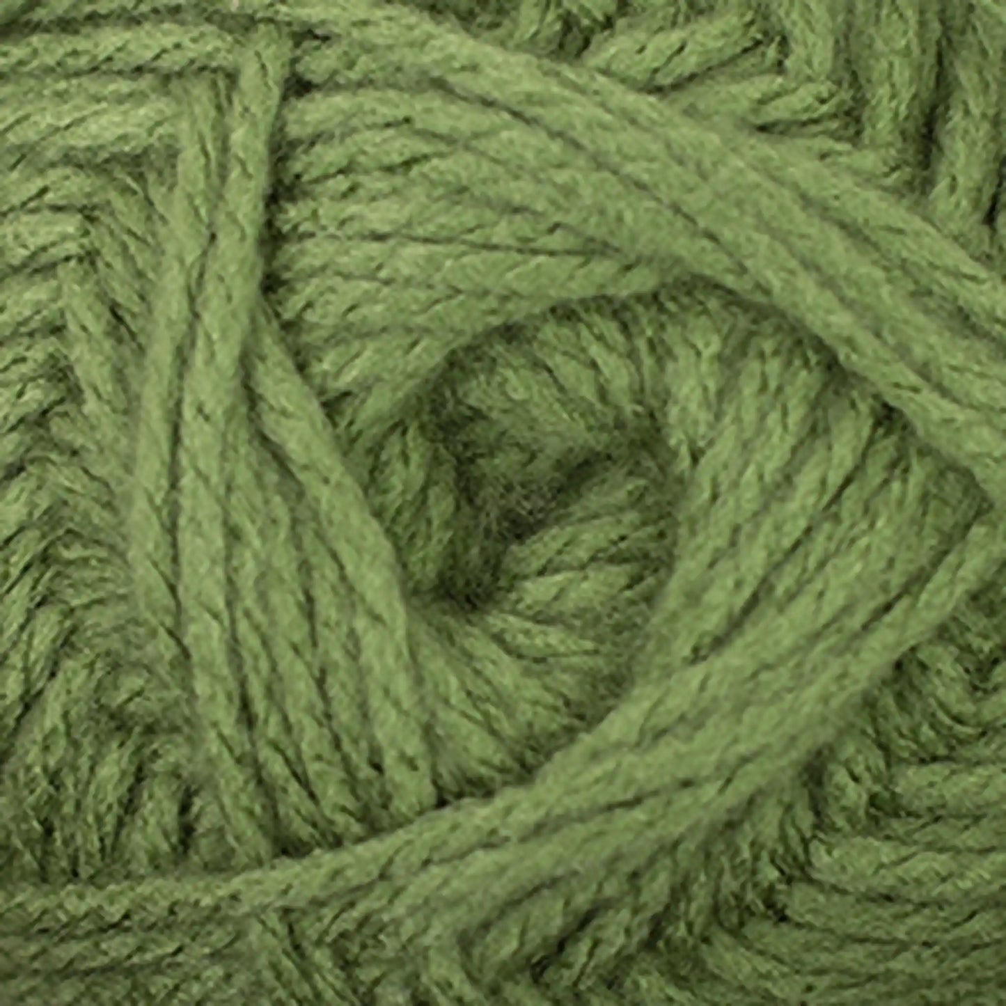 Cascade Anthem Worsted Yarn color 44 Cactus