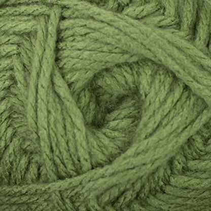 Cascade Anthem Worsted Yarn color 44 Cactus