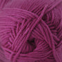 52 Fuchsia Rose