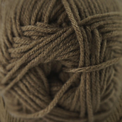 Cascade Anthem Worsted Yarn color 54 Toasted Coconut