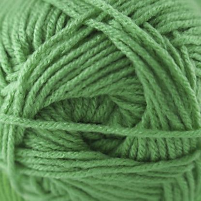 Cascade Anthem Worsted Yarn color 59 Clover Green