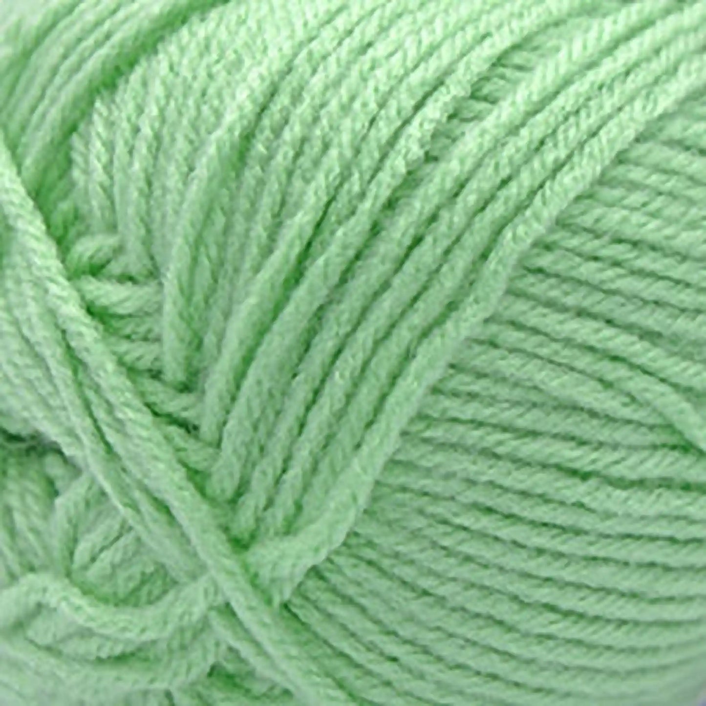 Cascade Anthem Worsted Yarn color 81 Pastel Green