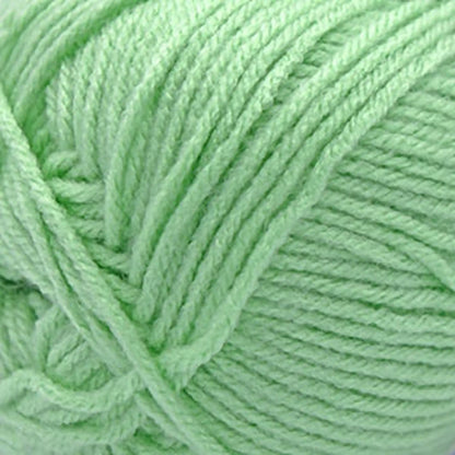 Cascade Anthem Worsted Yarn color 81 Pastel Green
