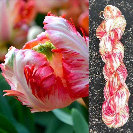 Apricot Parrot Tulip - Merino/Nylon Alder Fingering Yarn - Round Mountain Fibers