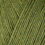 12069 Fennel