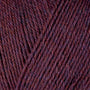 12072 Dried Plum