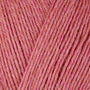 12076 Rhubarb