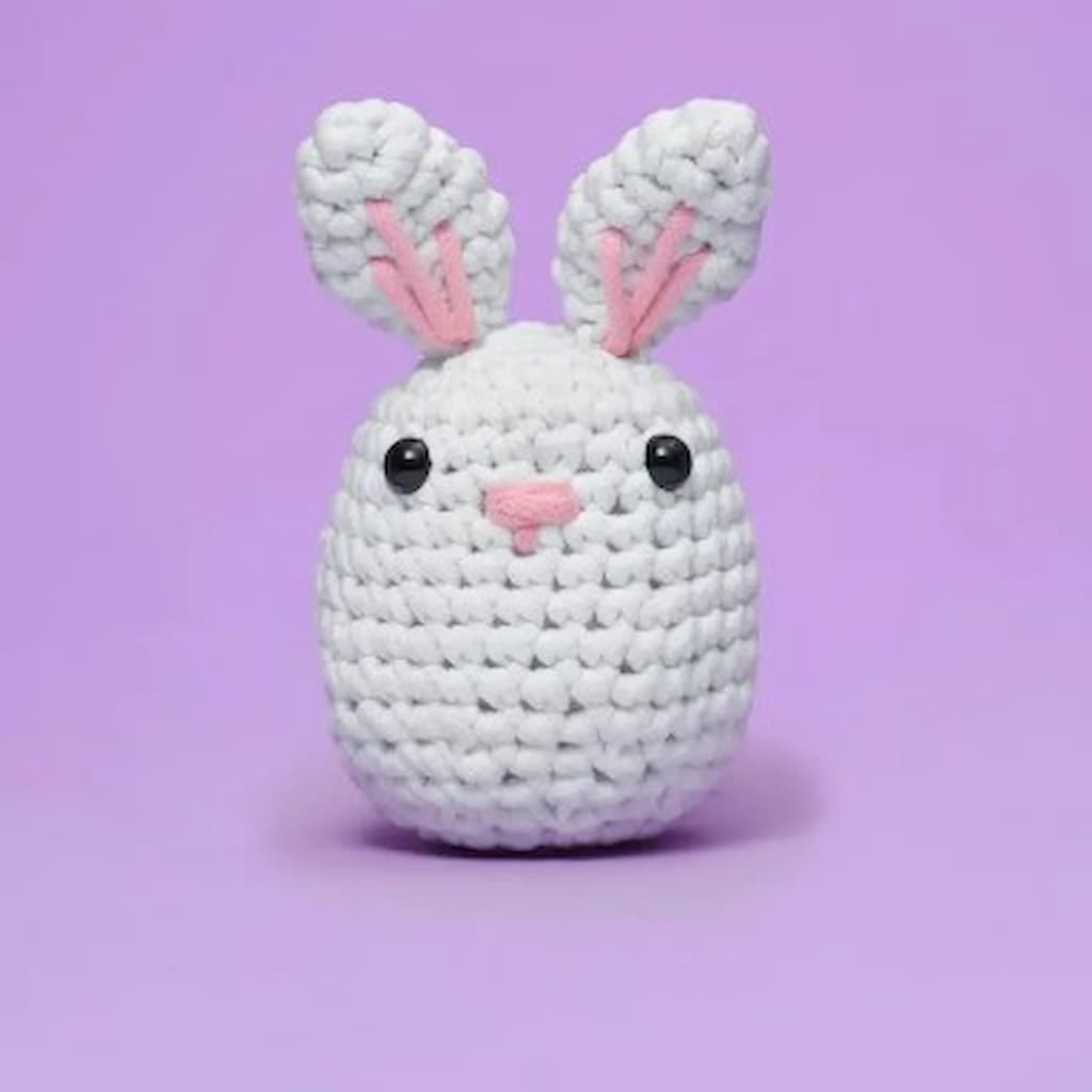 Complete Beginner Crochet Set Rabbit All in Learn to Crochet Stuffed Animal  Crochet Craft Starter Pack for Adults Gift light gray 