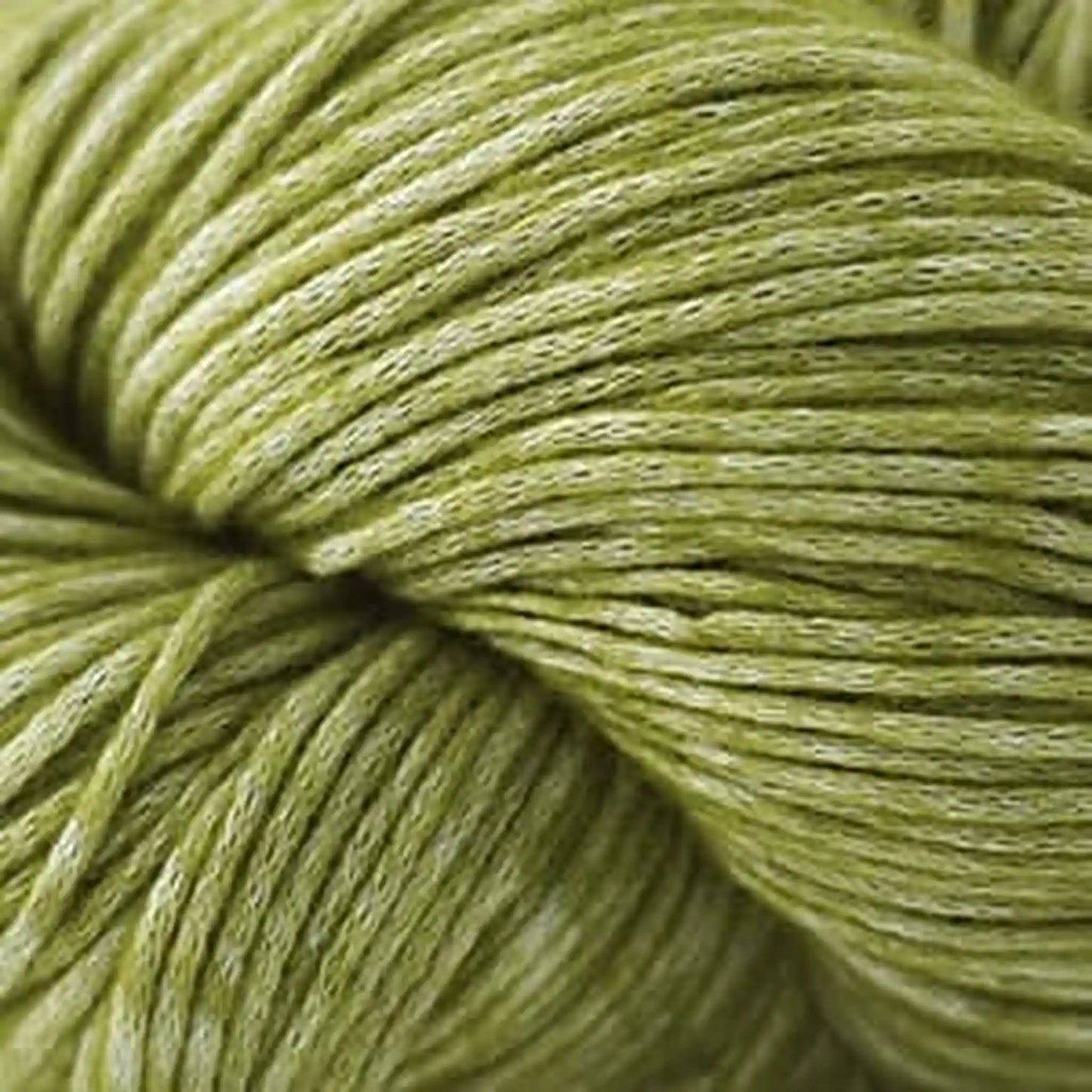 Cascade Cantata Worsted Yarn color 20 Cactus