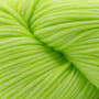 46 Neon Lime