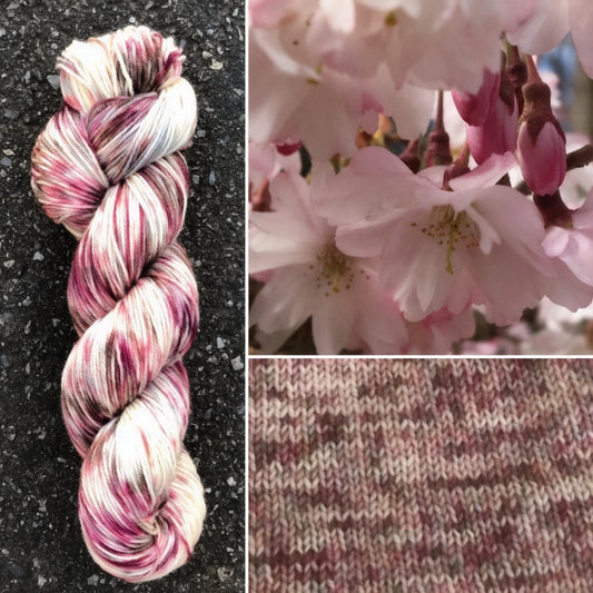 Cherry Blossom - Merino/Nylon Alder Fingering Yarn - Round Mountain Fibers