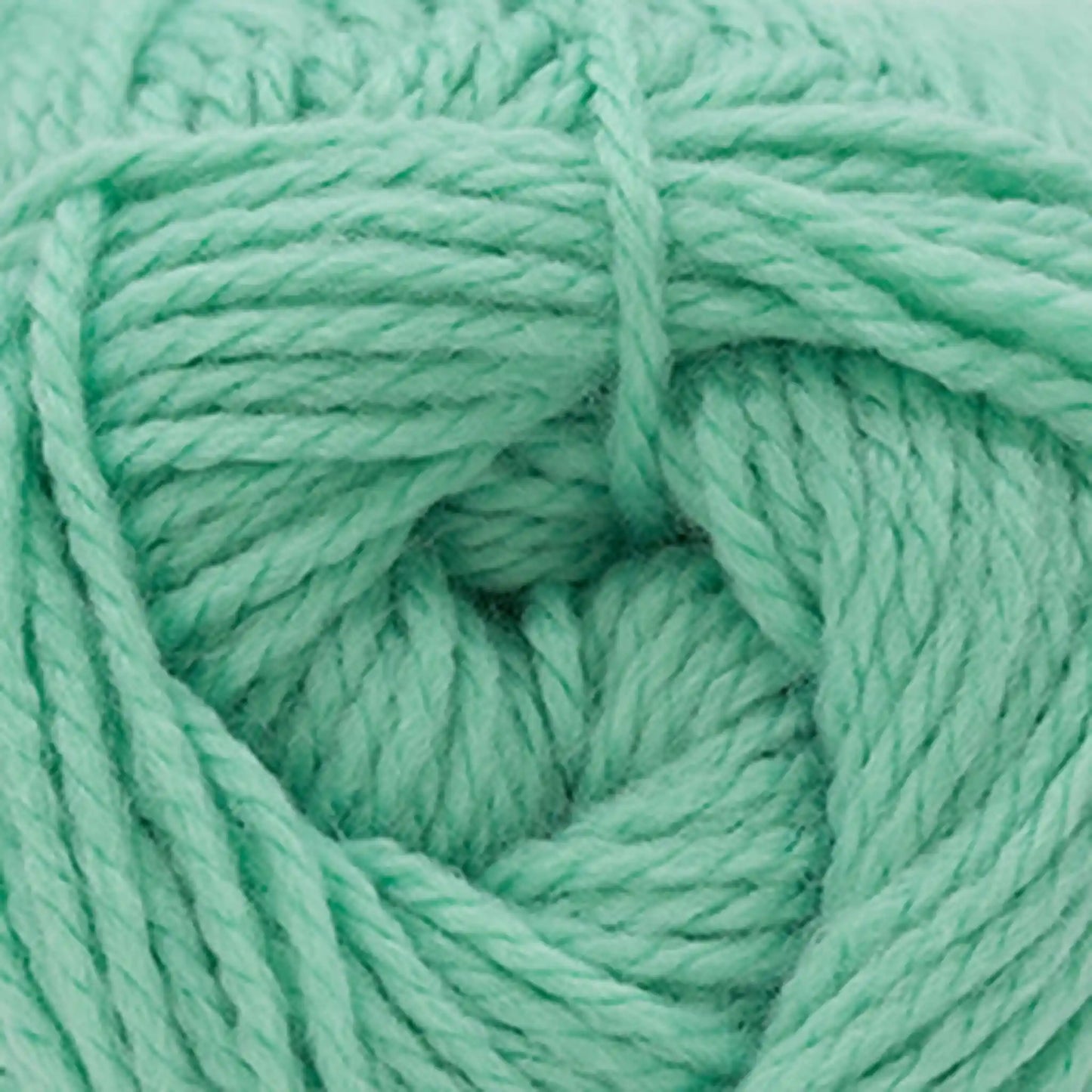 Cascade Cherub Aran Yarn color 131 Beach Glass