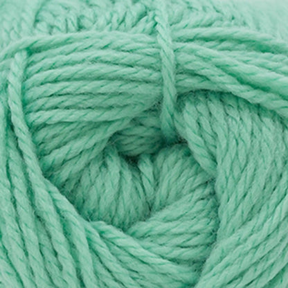Cascade Cherub Aran Yarn color 131 Beach Glass