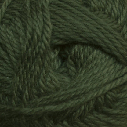 Cascade Cherub Aran Yarn color 59 Bronze Green