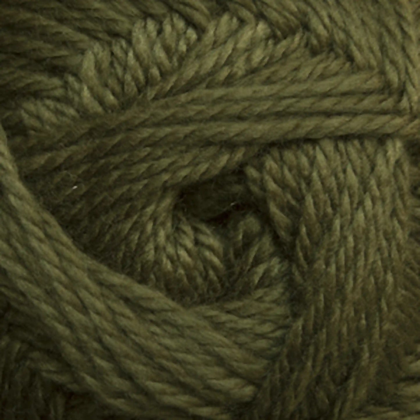 Cascade Cherub Aran Yarn color 60 Fir Green