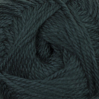 Cascade Cherub Aran Yarn color 69 Pine